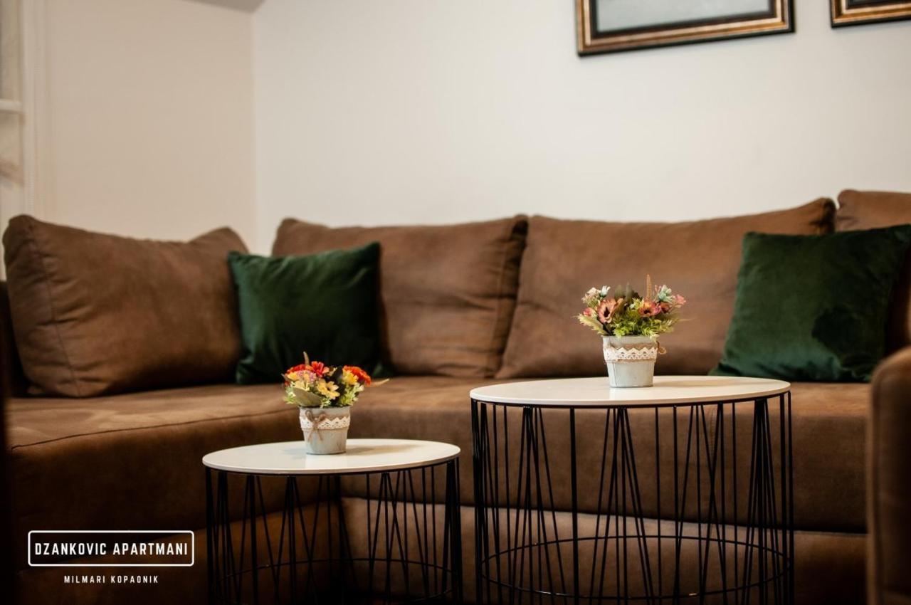 Apartmani Dzankovic Kopaonik Buitenkant foto