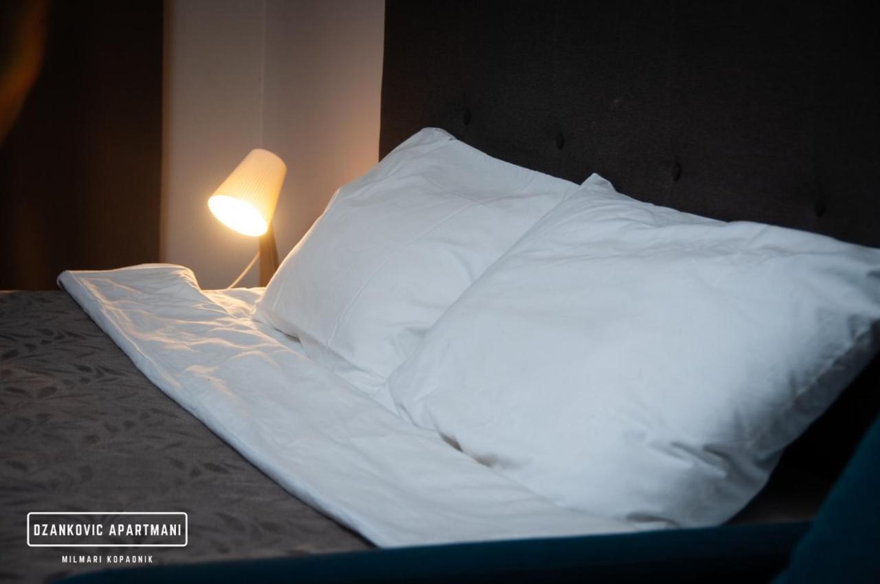 Apartmani Dzankovic Kopaonik Buitenkant foto