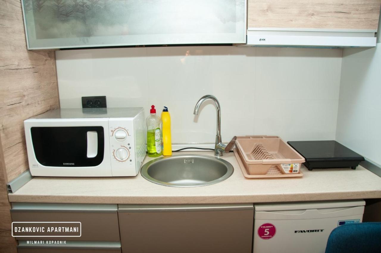 Apartmani Dzankovic Kopaonik Buitenkant foto