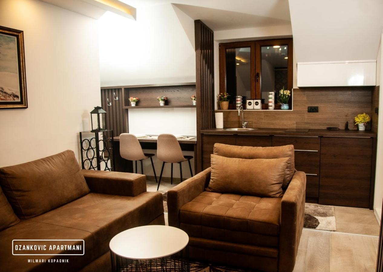 Apartmani Dzankovic Kopaonik Buitenkant foto