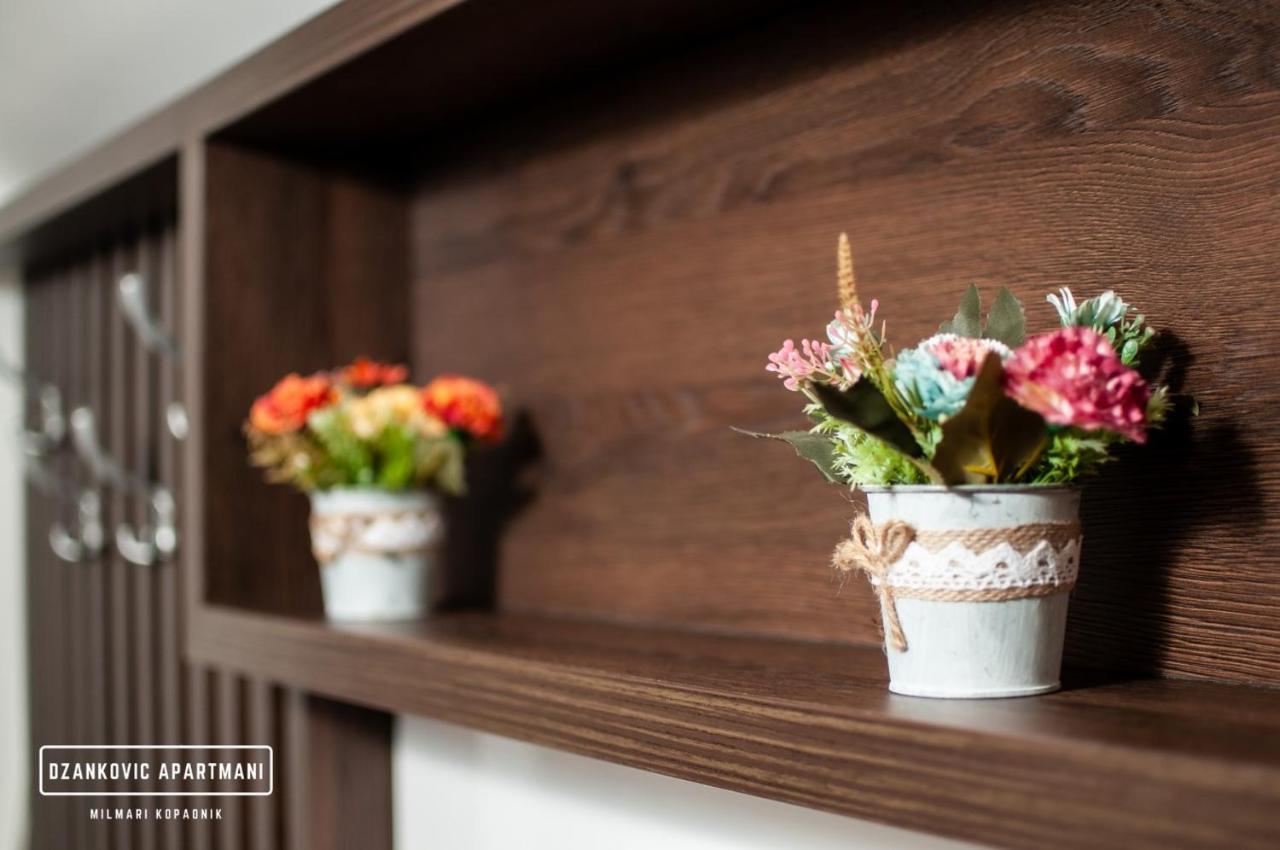 Apartmani Dzankovic Kopaonik Buitenkant foto