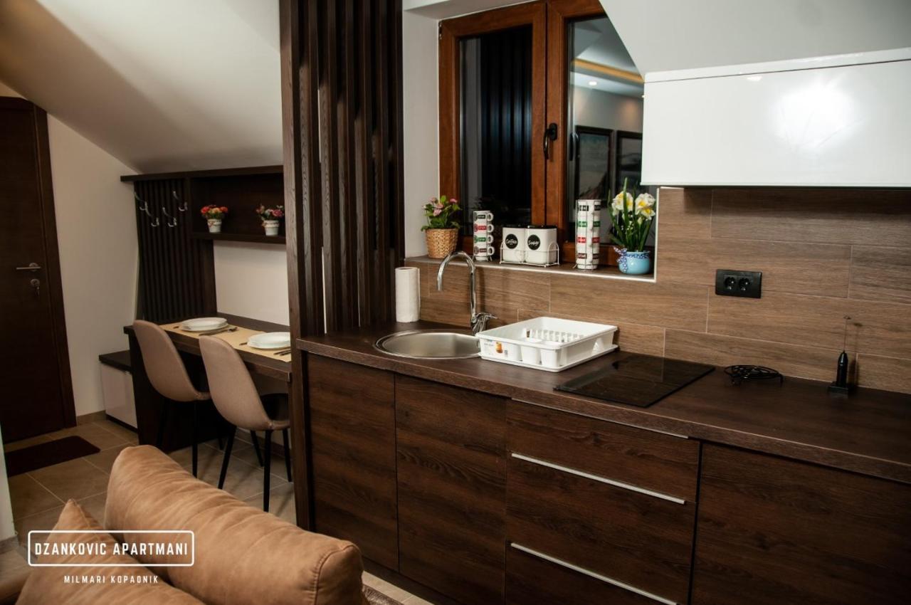 Apartmani Dzankovic Kopaonik Buitenkant foto