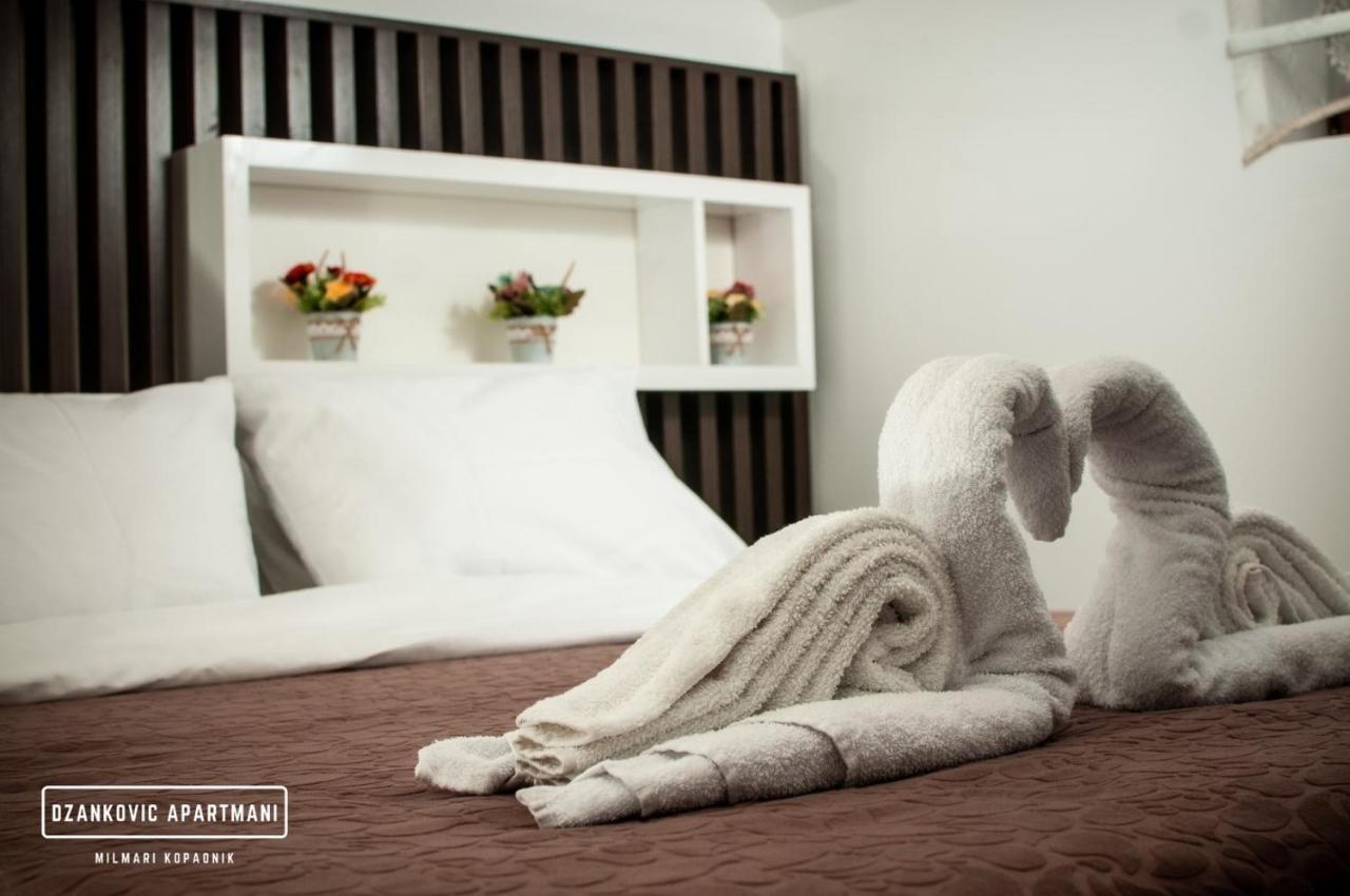 Apartmani Dzankovic Kopaonik Buitenkant foto