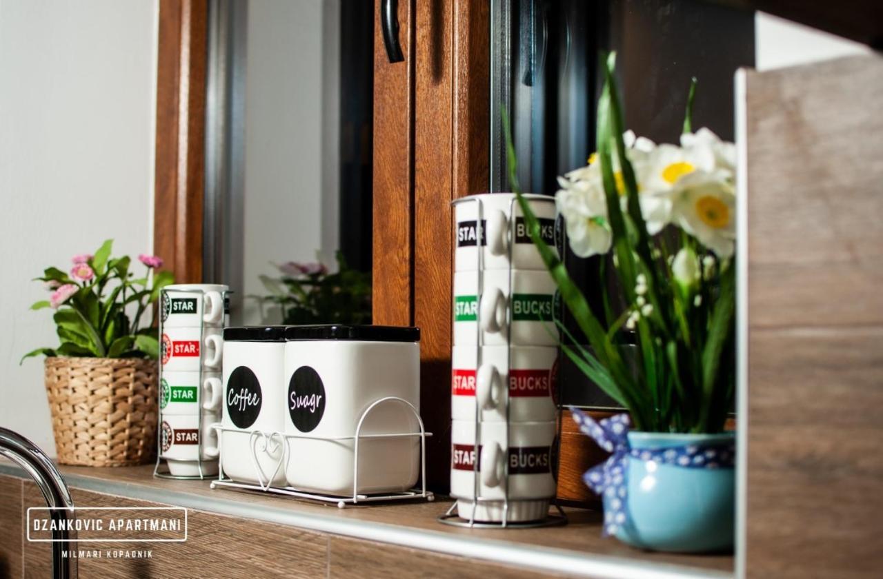 Apartmani Dzankovic Kopaonik Buitenkant foto