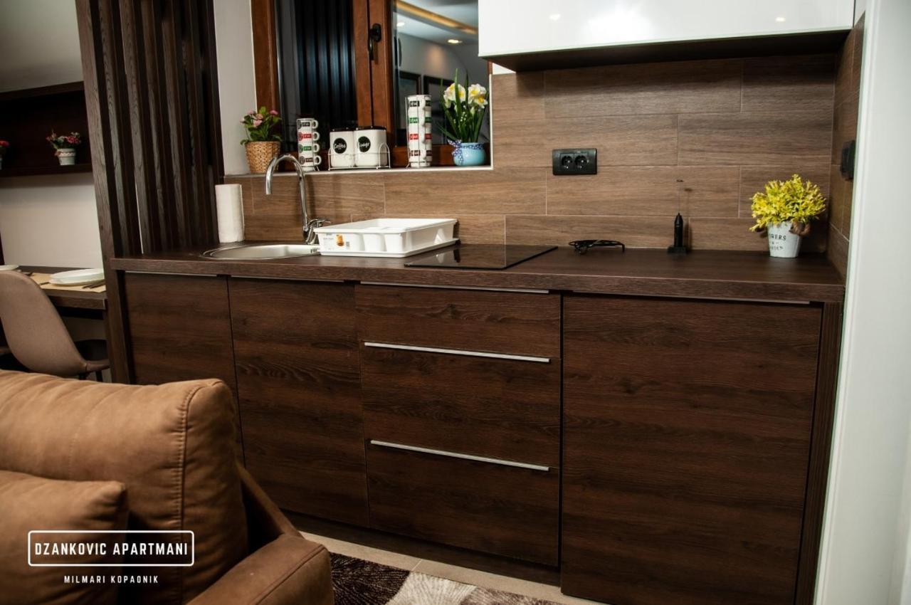 Apartmani Dzankovic Kopaonik Buitenkant foto
