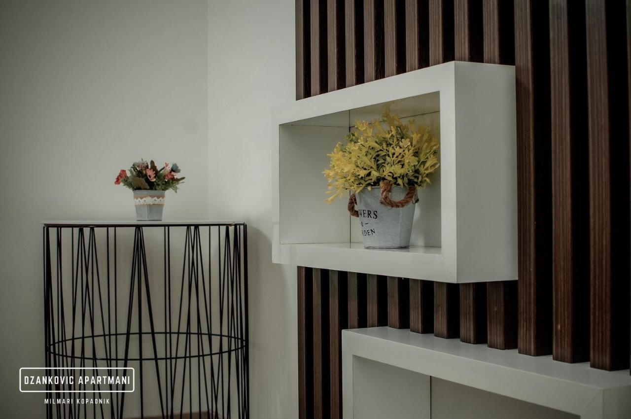 Apartmani Dzankovic Kopaonik Buitenkant foto